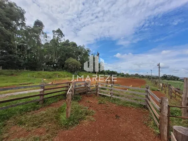 Terreno com 67694m², à venda, no bairro Núcleo Habitacional Adriano Correia em Apucarana
