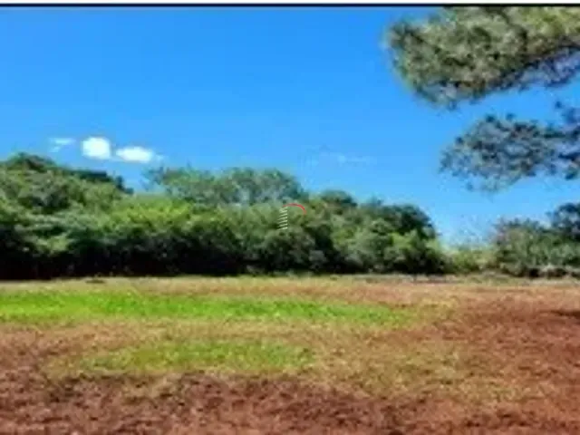 Terreno com 24200m², à venda, no bairro jardim Capricornio em Rolândia