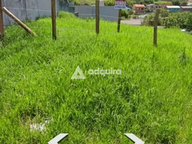 Terreno com 528m², à venda, no bairro Jardim Carvalho em Ponta Grossa