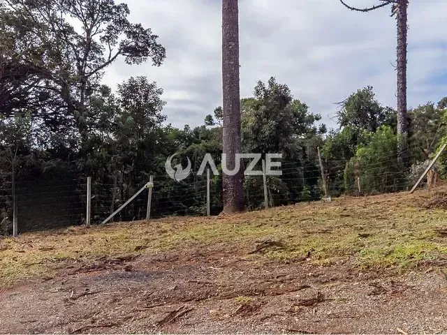 Terreno com 5m², à venda, no bairro Palmitalzinho em Quatro Barras