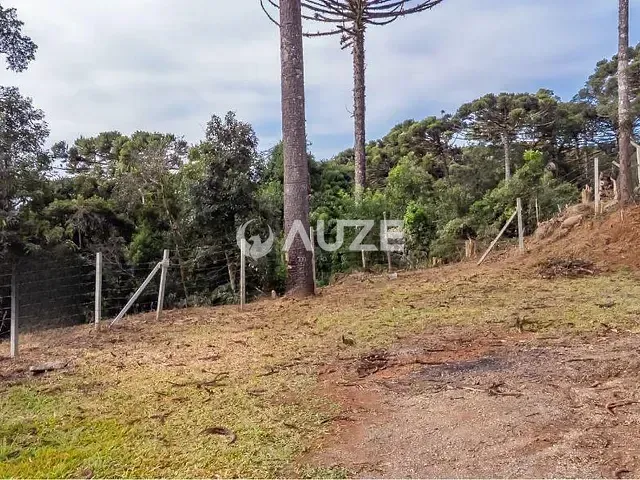 Terreno com 5m², à venda, no bairro Palmitalzinho em Quatro Barras
