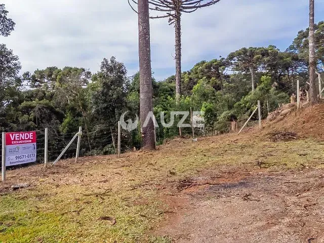 Terreno com 5m², à venda, no bairro Palmitalzinho em Quatro Barras
