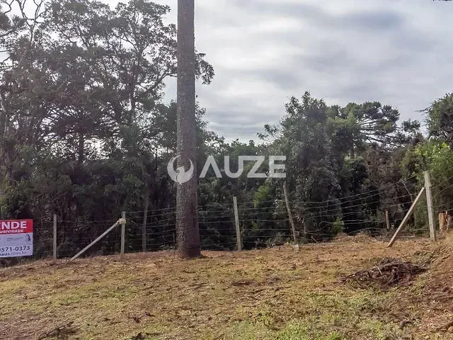 Terreno com 5m², à venda, no bairro Palmitalzinho em Quatro Barras