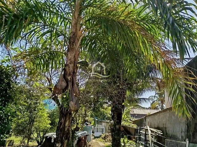 Terreno com 504m², à venda, no bairro Boraceia em Bertioga