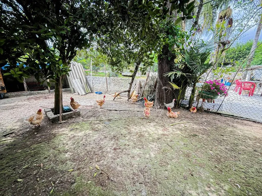 Terreno, 6800 m² - Foto 49