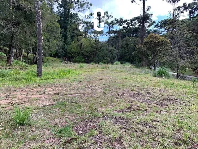 Terreno com 2150m², à venda, no bairro Vila Simonsen em Campos Do Jordão