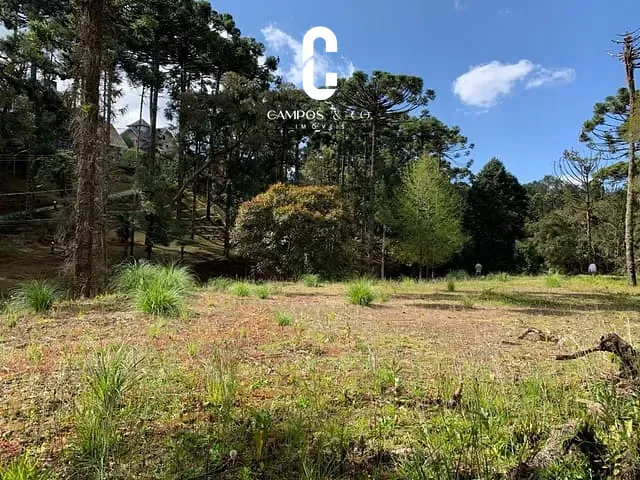 Terreno com 2150m², à venda, no bairro Vila Simonsen em Campos Do Jordão