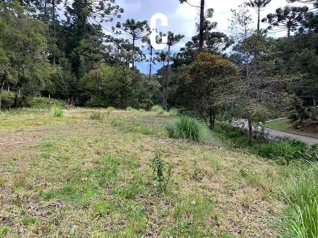 Terreno com 2150m², à venda, no bairro Vila Simonsen em Campos Do Jordão