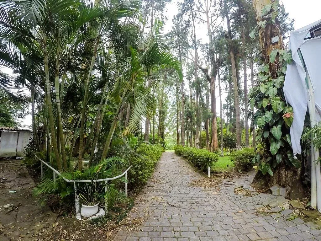 Terreno, 2 hectares - Foto 18