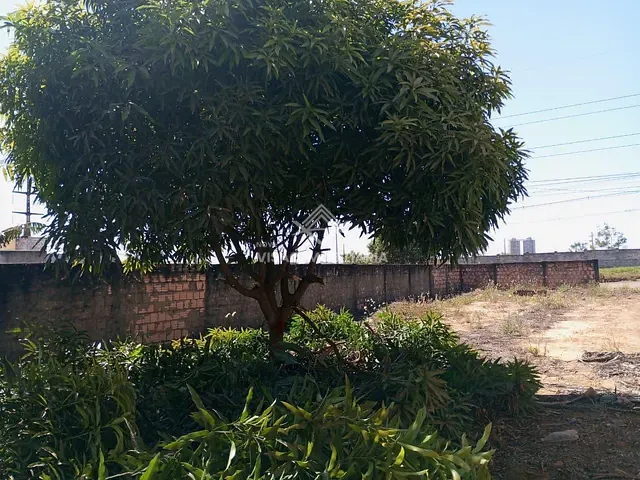 Terreno à venda, no bairro Jardim Bougainville em Sinop
