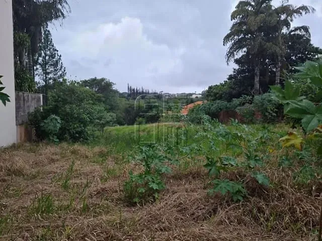 Terreno com 2531m², à venda, no bairro Centro em Londrina