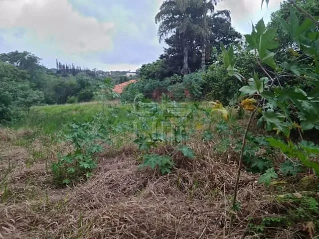 Terreno com 2531m², à venda, no bairro Centro em Londrina
