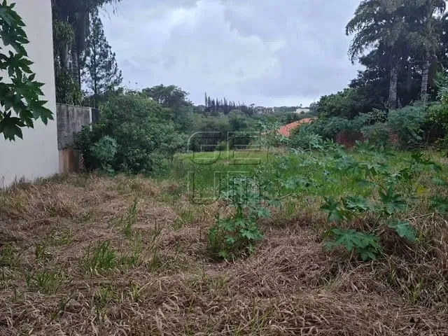 Terreno com 2531m², à venda, no bairro Centro em Londrina