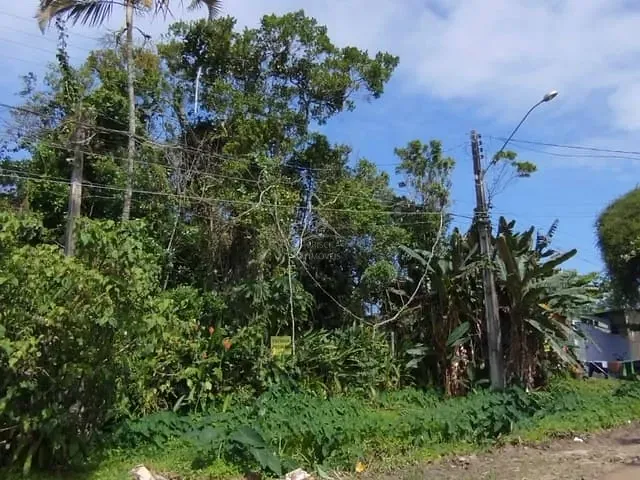 Terreno com 450m², à venda, no bairro Boraceia em Bertioga
