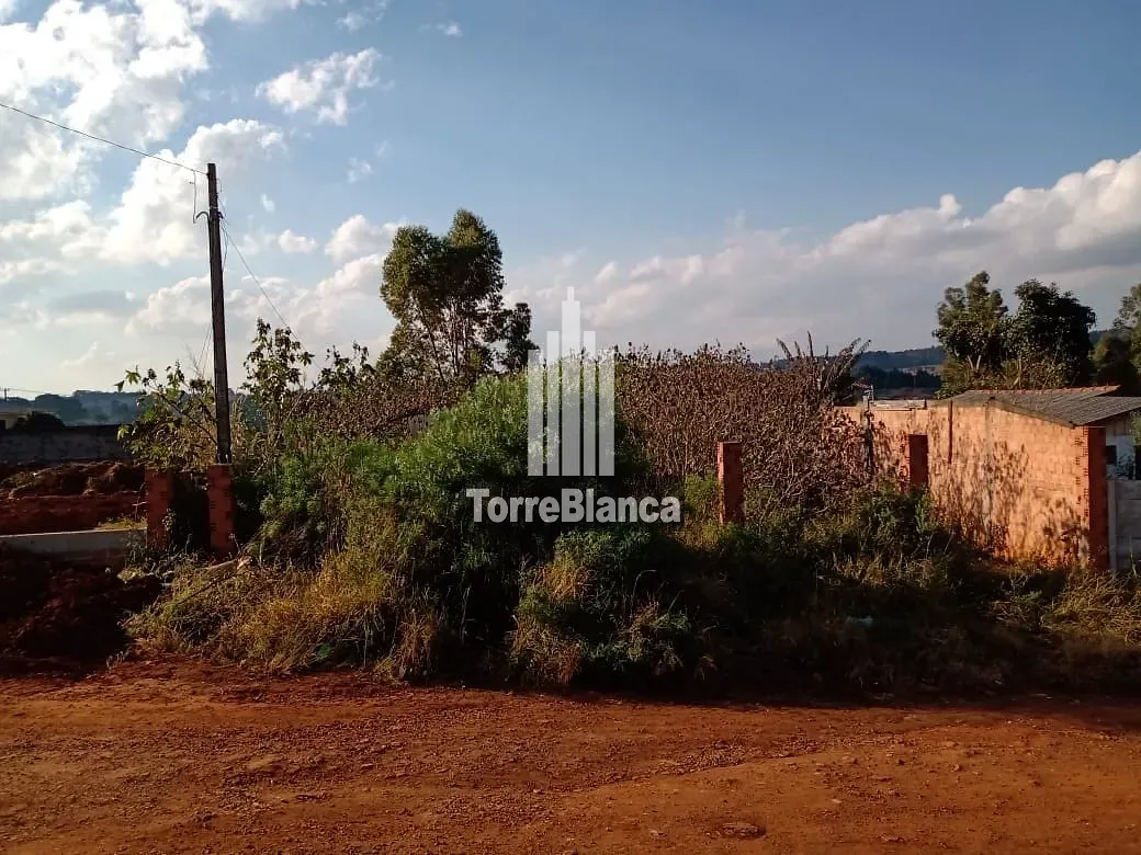 Terreno, 560 m² - Foto 3