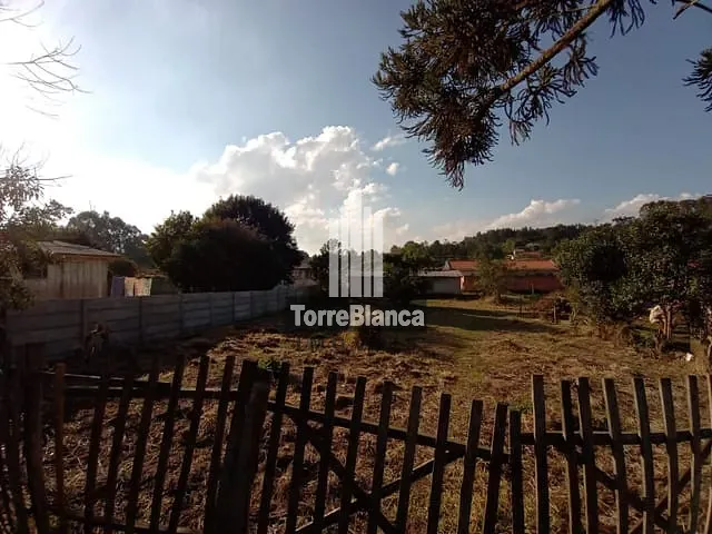 Terreno com 600m², à venda, no bairro Cará-Cará em Ponta Grossa