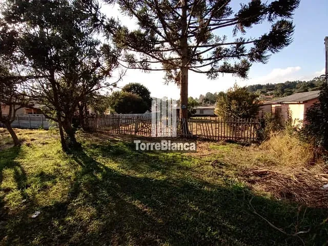 Terreno com 600m², à venda, no bairro Cará-Cará em Ponta Grossa