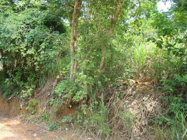 Terreno com 421m², à venda, no bairro Maria Turri em Rio das Ostras