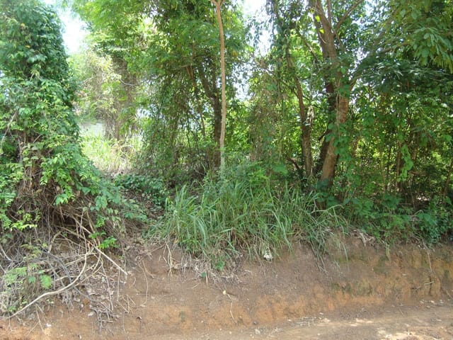 Terreno com 421m², à venda, no bairro Maria Turri em Rio das Ostras