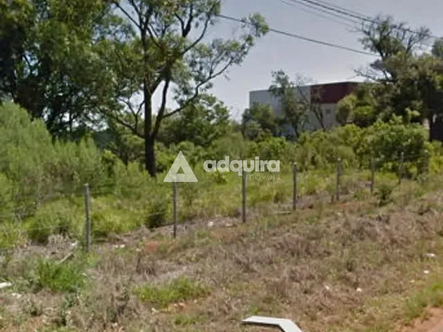 Terreno com 6331m², à venda, no bairro Chapada em Ponta Grossa