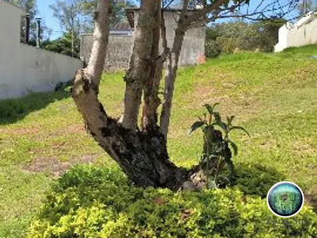 Terreno com 300m², à venda, no bairro Vila Domingues em Votorantim