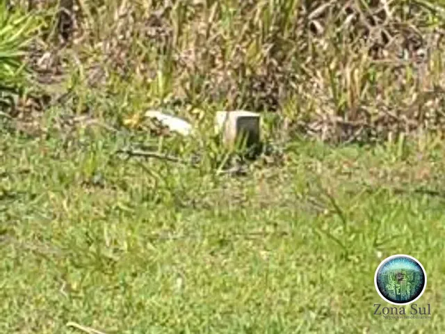 Terreno com 200m², à venda, no bairro Vivalegro em Votorantim