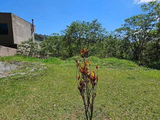 Terreno com 1445m², à venda, no bairro Olho D'Água em Mairiporã