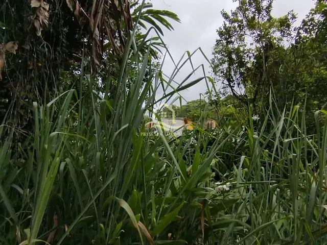Terreno com 360m², à venda, no bairro Boracéia em São Sebastião