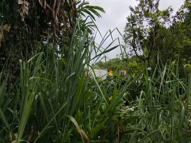 Terreno com 360m², à venda, no bairro Boracéia em São Sebastião