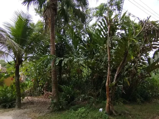 Terreno com 360m², à venda, no bairro Boracéia em São Sebastião