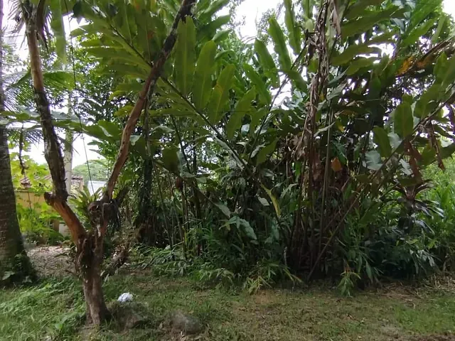 Terreno com 360m², à venda, no bairro Boracéia em São Sebastião