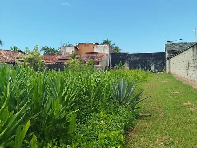 Terreno com 504m², à venda, no bairro Boraceia em Bertioga