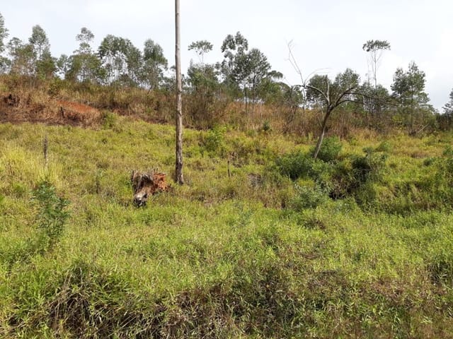 Terreno com 278m², à venda, no bairro Glebas em Franco da Rocha