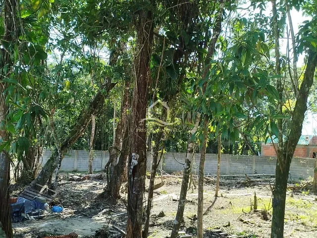 Terreno com 513m², à venda, no bairro Boracéia em São Sebastião