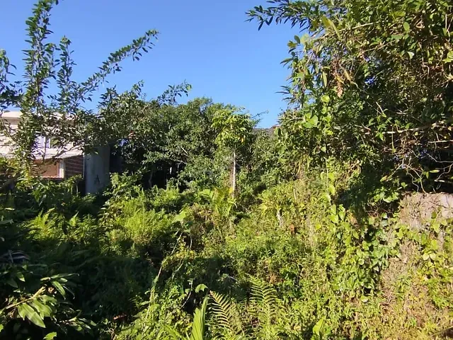 Terreno com 400m², à venda, no bairro Boraceia em Bertioga