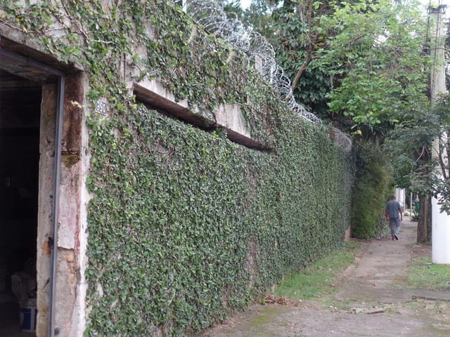 Foto do Terreno - 2 Lotes de Terreno à Venda, 760 m² - Oportunidade Rara: Terreno Amplo no Brooklin Paulista - São Paulo/SP | Paulista Imóveis