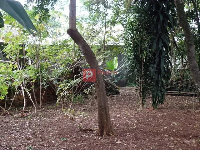 Terreno com 760m², à venda, no bairro Brooklin Paulista em São Paulo