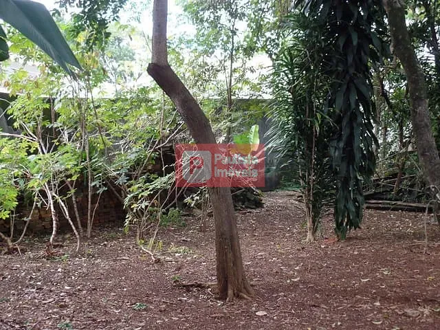 Terreno com 760m², à venda, no bairro Brooklin Paulista em São Paulo