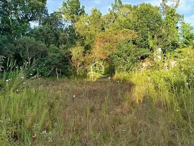 Terreno com 407m², à venda, no bairro Boraceia em Bertioga
