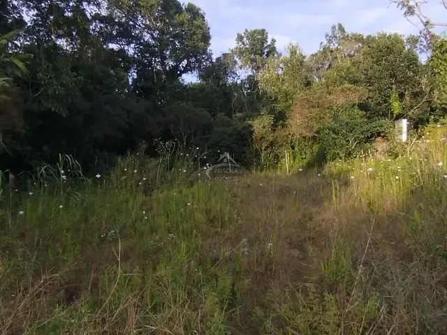 Terreno com 407m², à venda, no bairro Boraceia em Bertioga