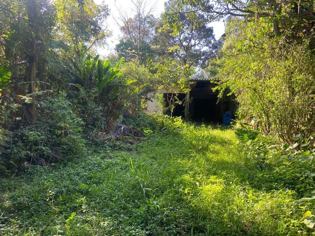Terreno com 5384m², à venda, no bairro Chácara Maria Trindade em São Paulo