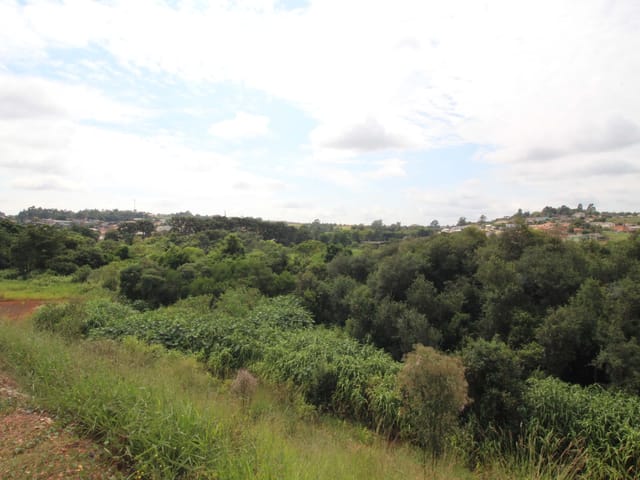 Terreno com 12130m², à venda, no bairro Olarias em Ponta Grossa