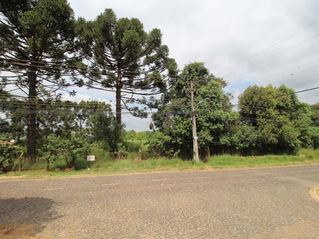 Terreno com 12130m², à venda, no bairro Olarias em Ponta Grossa