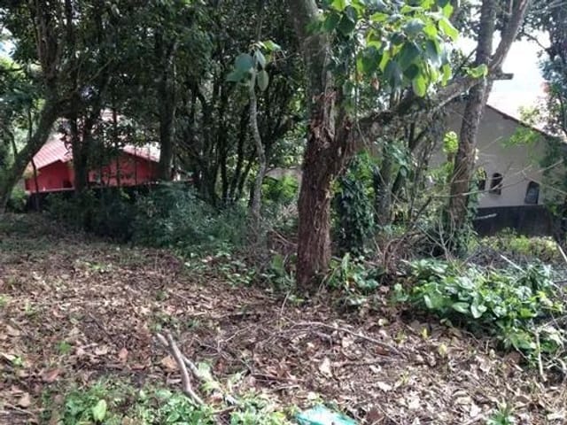 Terreno com 501m², à venda, no bairro Parque Sao Paulo em Cotia