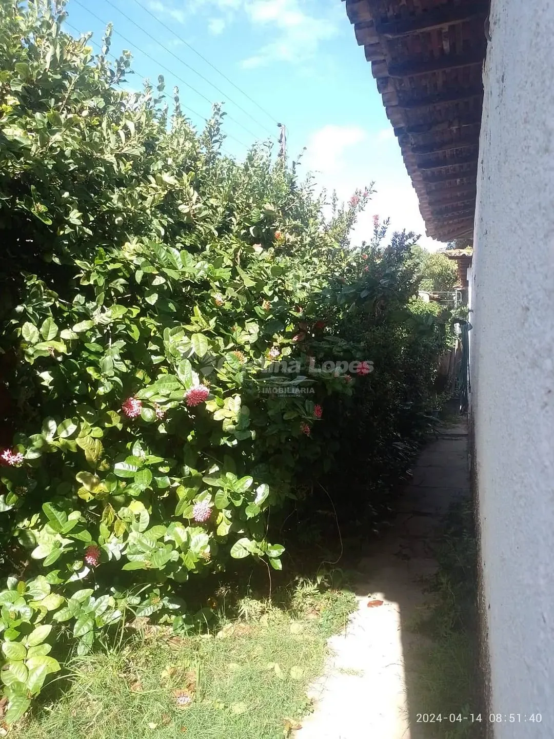 Terreno, 2165 m² - Foto 5