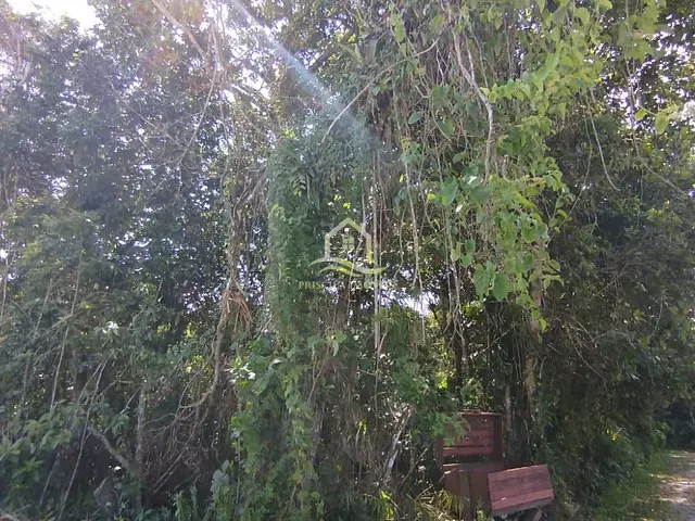 Terreno com 705m², à venda, no bairro Boracéia em São Sebastião