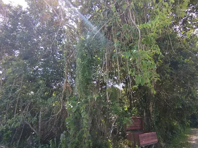 Terreno com 705m², à venda, no bairro Boracéia em São Sebastião