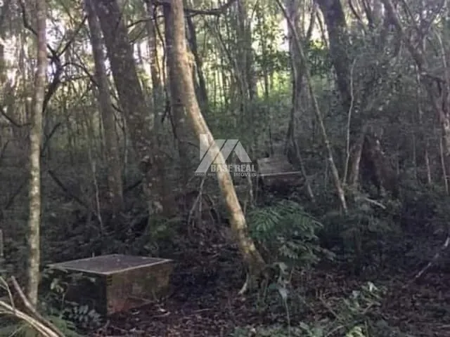 Terreno com 30000m², à venda, no bairro PALMEIRINHA em Guarapuava