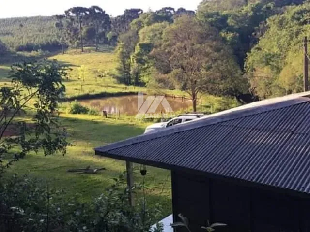 Terreno com 30000m², à venda, no bairro PALMEIRINHA em Guarapuava