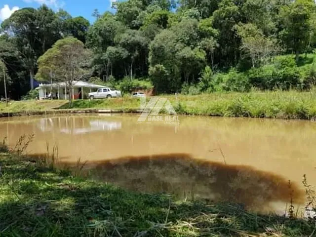 Terreno com 30000m², à venda, no bairro PALMEIRINHA em Guarapuava